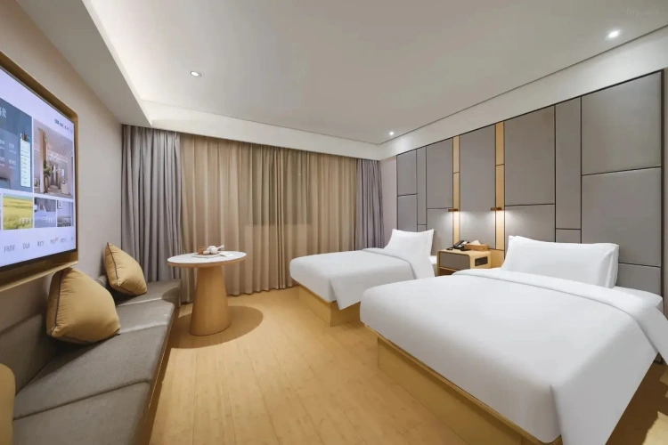 (No Window) Twin room