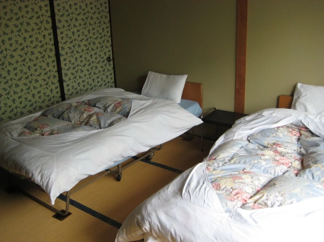 Japanese-Style Twin room