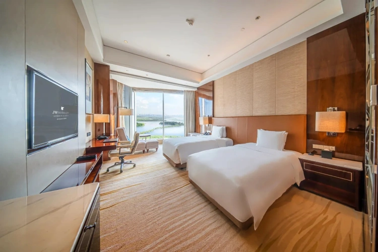 Premier Twin room with river view