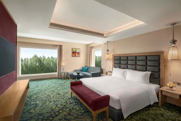 Presidential Double Suite