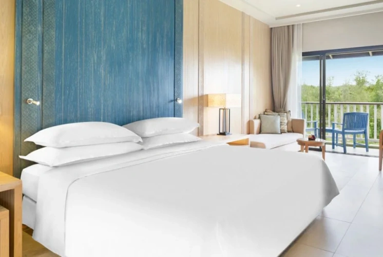 Deluxe Double room with balcony and with view