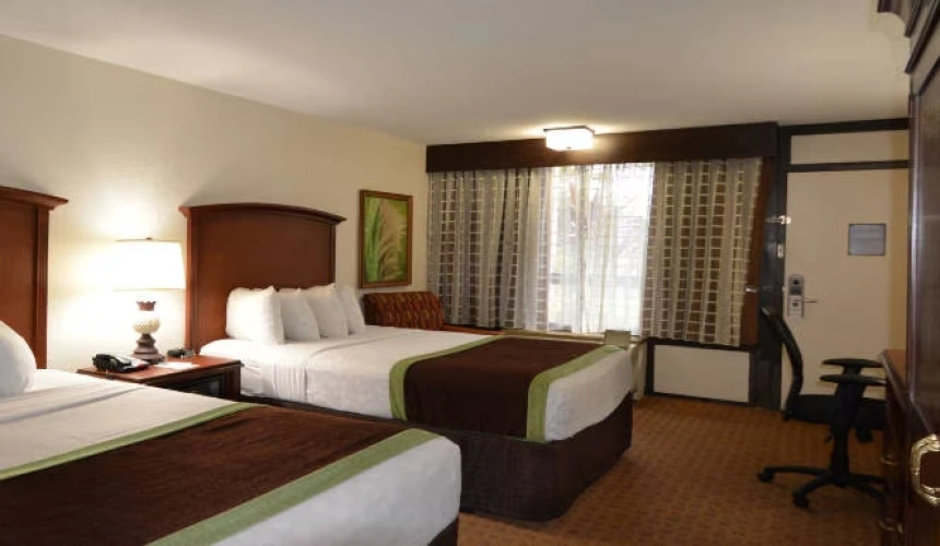 Accessible Twin room