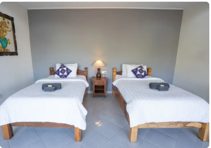 Deluxe Twin room