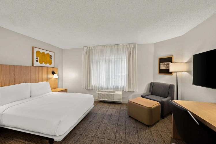 Accessible Double Studio Suite