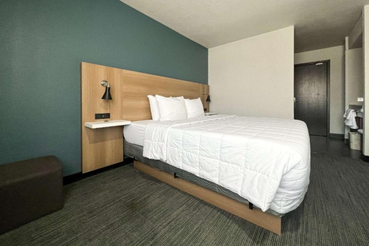 1 Bedroom Suite