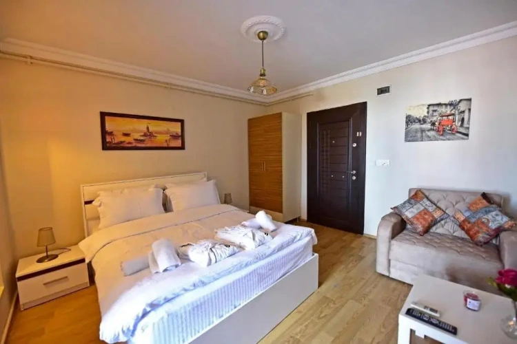 Triple Studio Suite