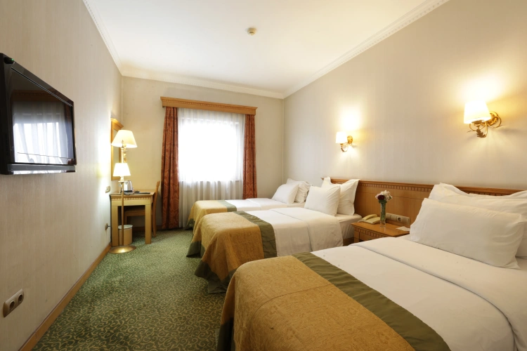 Economy Triple room
