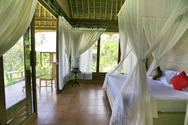 Deluxe Double room with view
