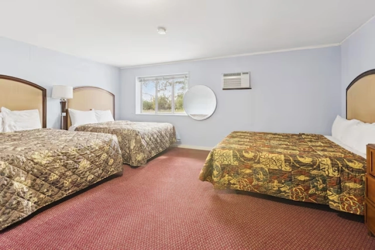 Sextuple room