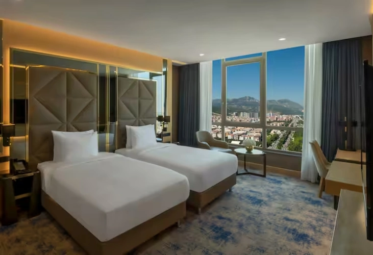 Guest Twin room