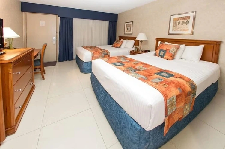 Pet Friendly Quadruple room