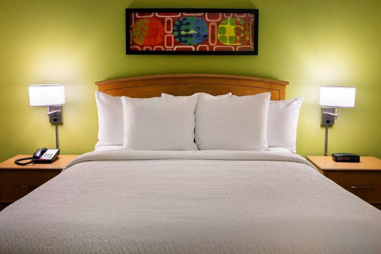Double Studio Suite