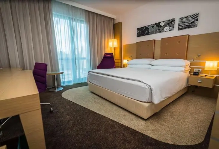 Deluxe Double room with balcony and with park view
