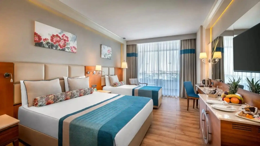 Standard Twin room with land view