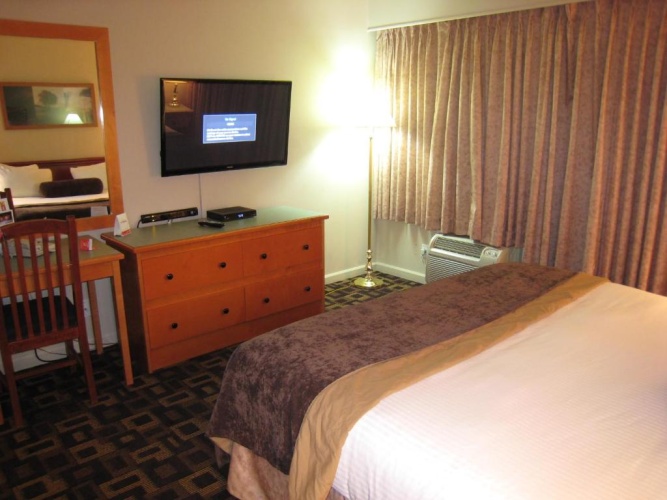 1 Bedroom Theme Suite