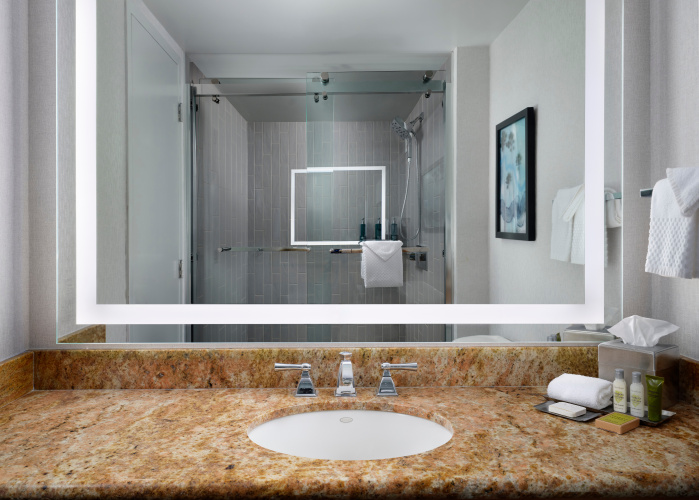 Hotel Fera Anaheim, a DoubleTree by Hilton photo 16