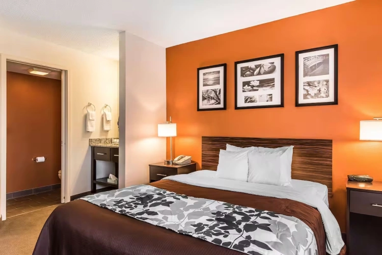 Standard Double room