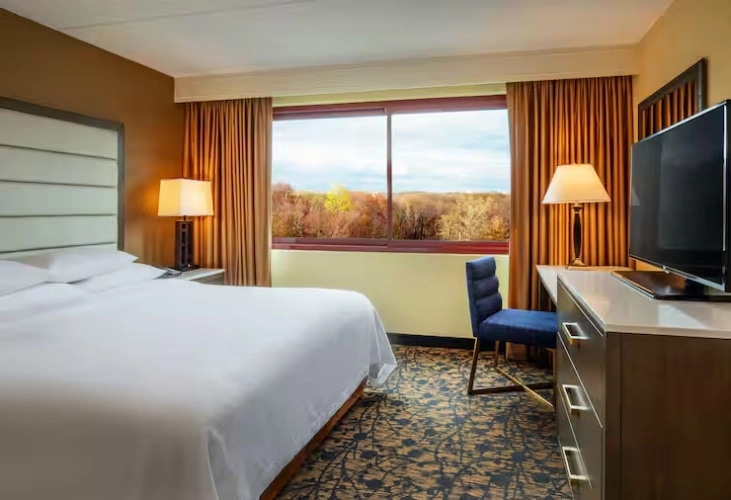 1 Bedroom Accessible Suite