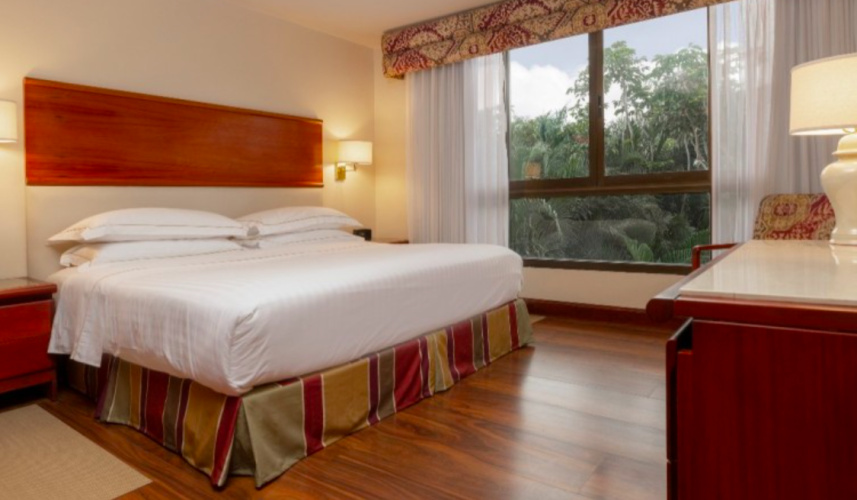 Premium Level Double Suite