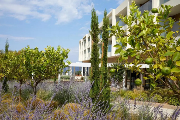 Vincci EverEden Beach Resort Hotel & Spa photo 35