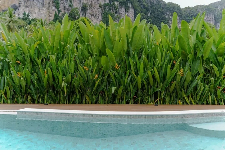 Sainai Pool Villa