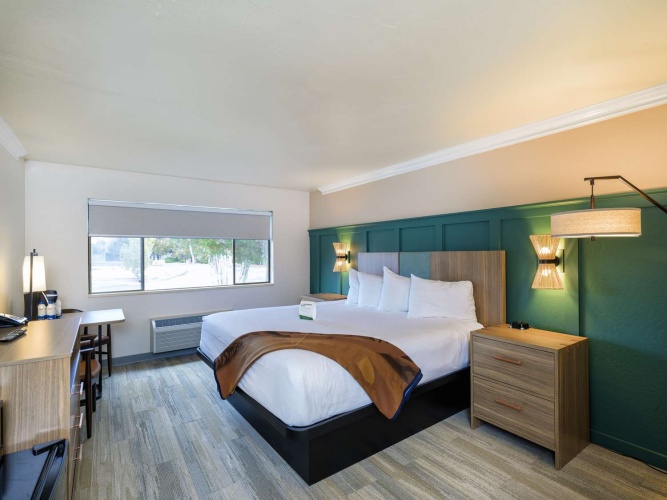Accessible Double room