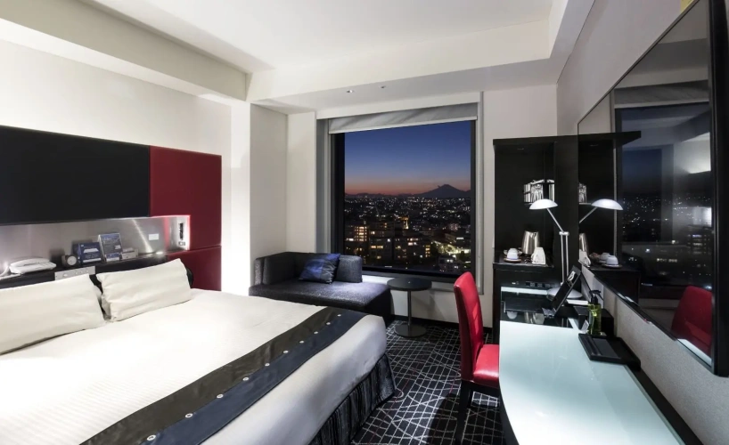 Deluxe Double room with city view