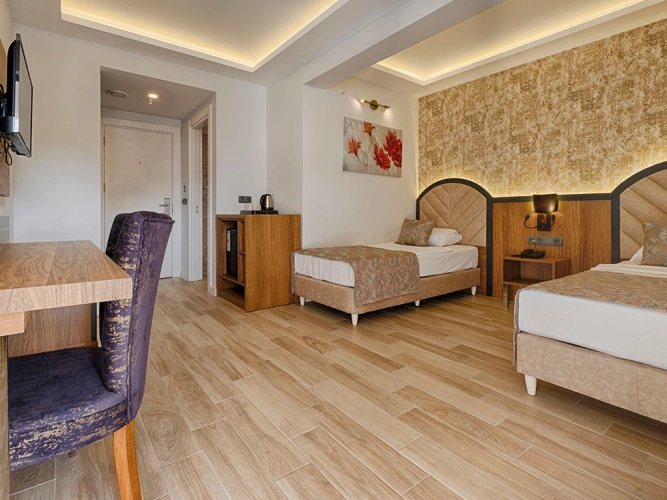 Standard Triple room with land view