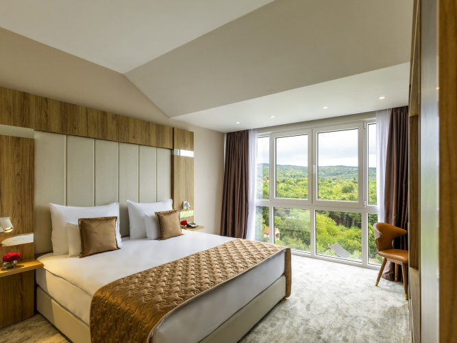 Superior Double Suite with balcony
