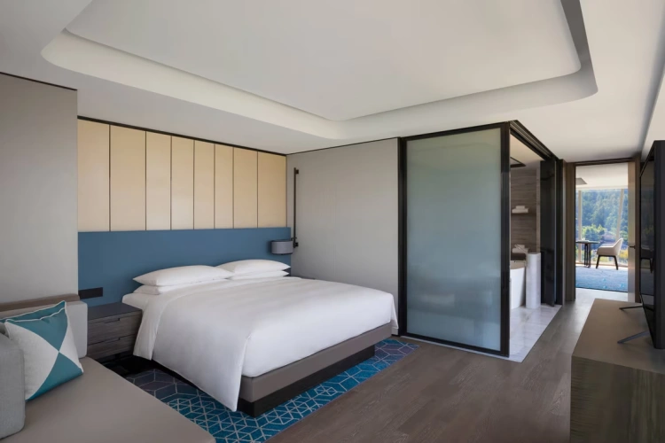 Executive Lounge Access Double Suite