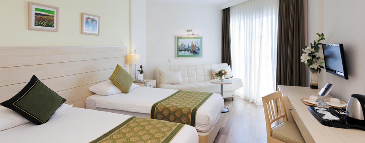 Standard Twin room with land view