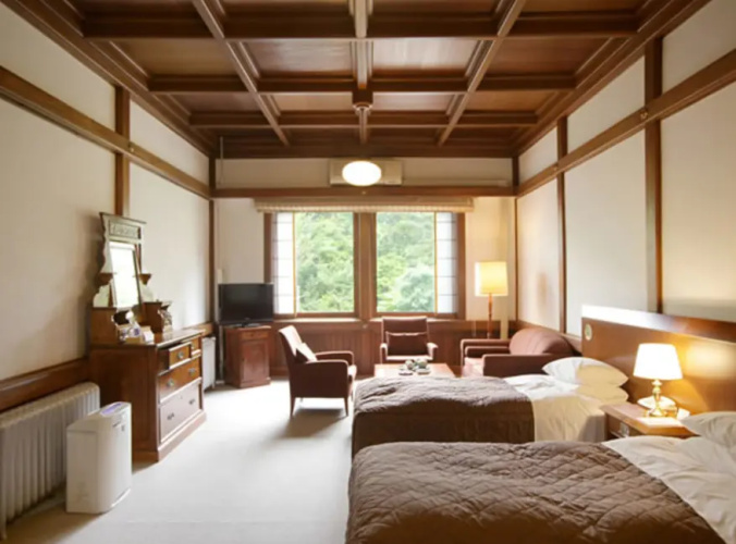 Deluxe Twin room
