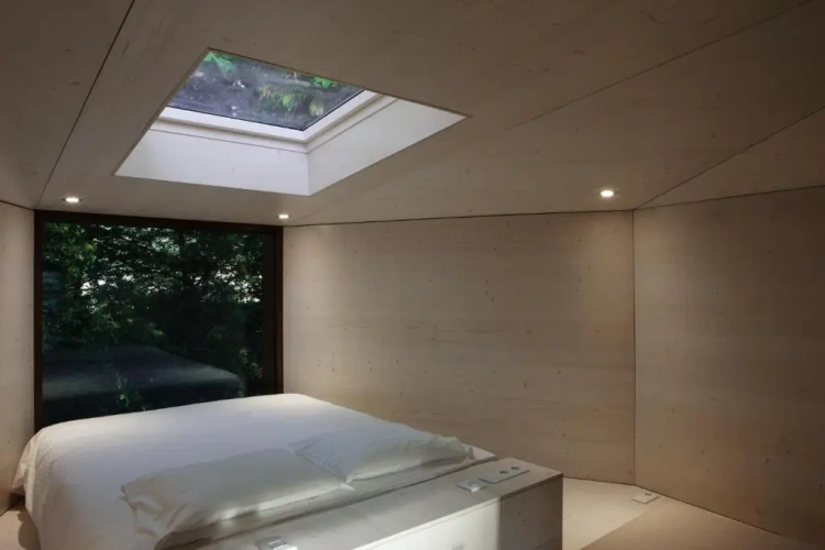 Double Tree House