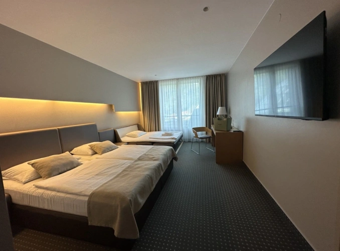 Standard Extra Bed Double room