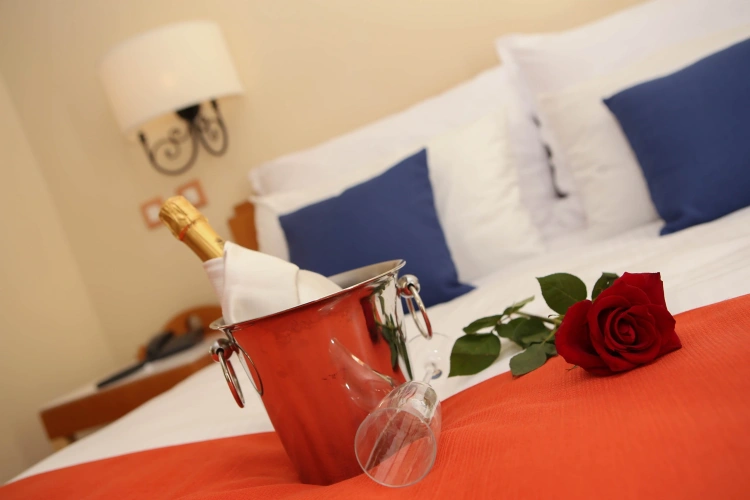Executive Double Suite