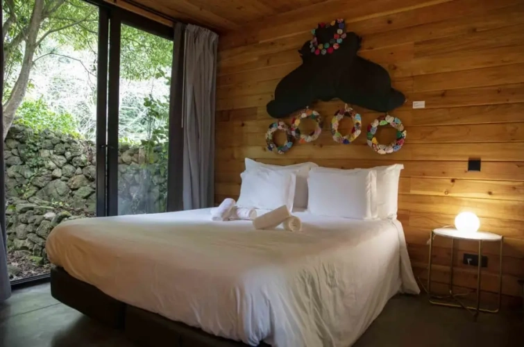 Double Lodge with forest view