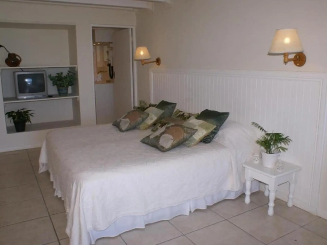 Dolphin Double room