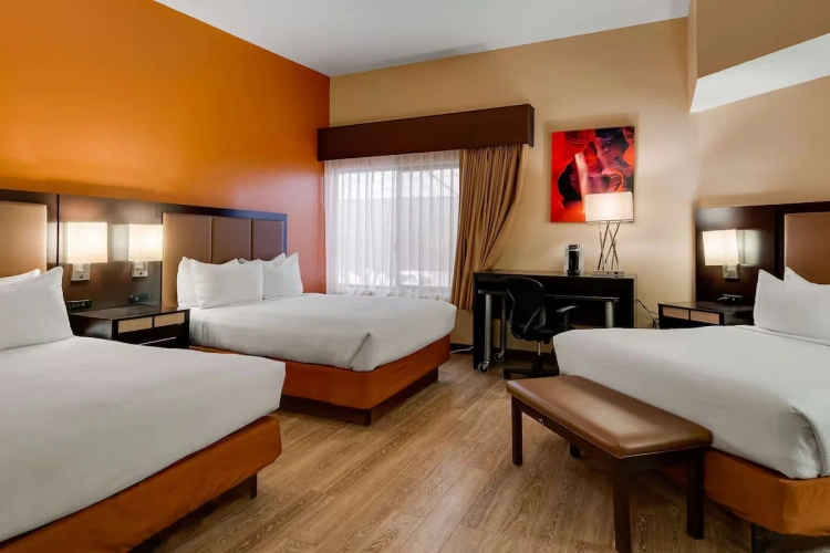 Communication Assistance Twin room