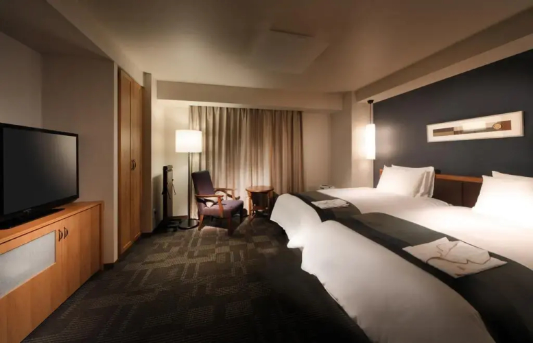 Richmond Hotel AsakusaOver view