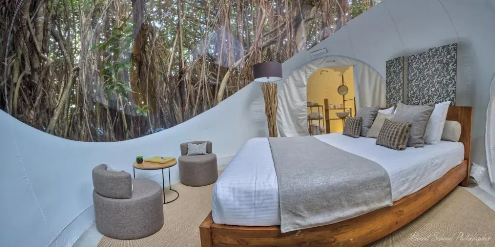 Banyan Tree Double BUBBLE