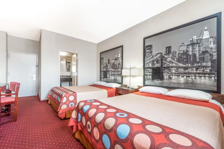 Twin Studio Suite