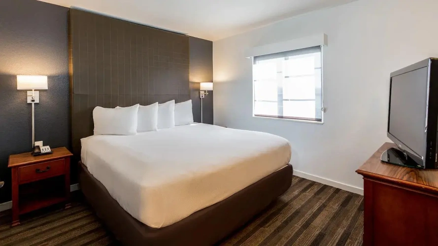 1 Bedroom Double Suite