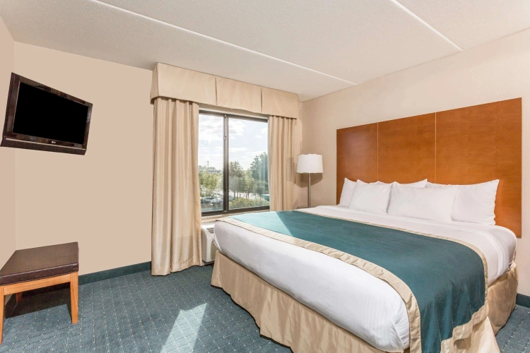 Double Studio Suite