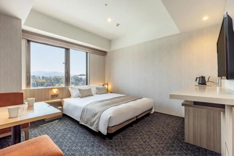 Moderate Double room
