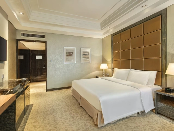 Standard Double Club room