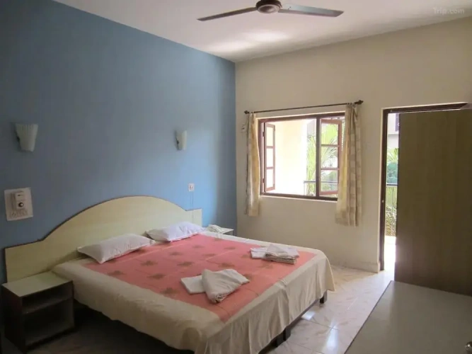 Standard Non A/C Twin room