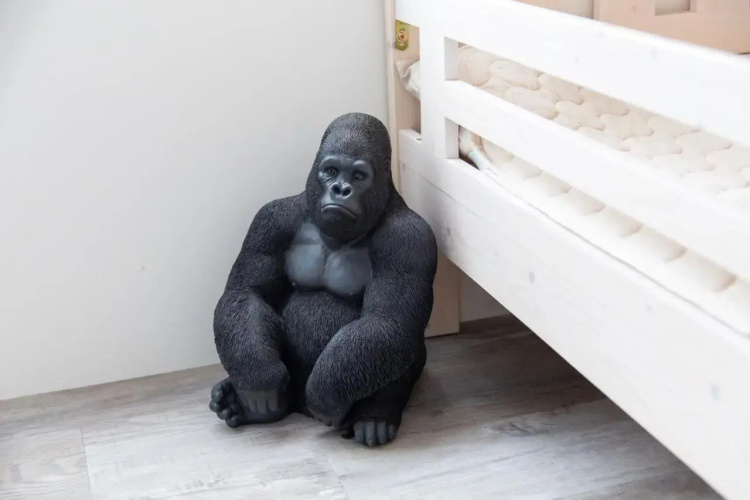 Guest House Gorilla