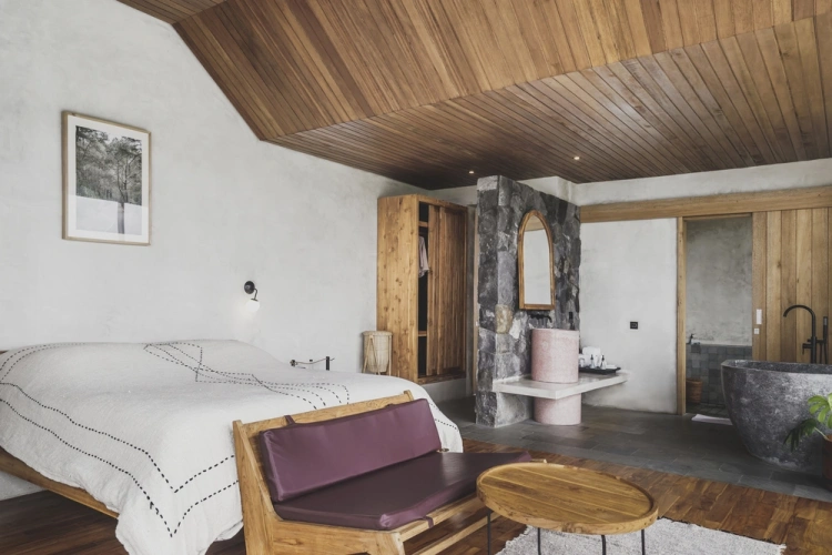 Suite with mountain view