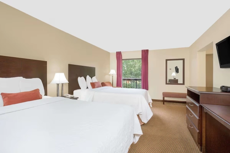 Non-Smoking Twin Suite