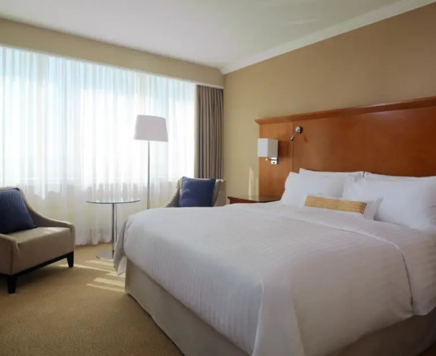 Business Double Suite